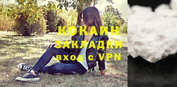 винт Арсеньев
