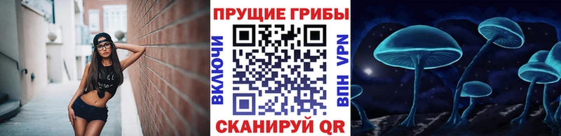 Галлюциногенные грибы Magic Shrooms  mega маркетплейс  Всеволожск 