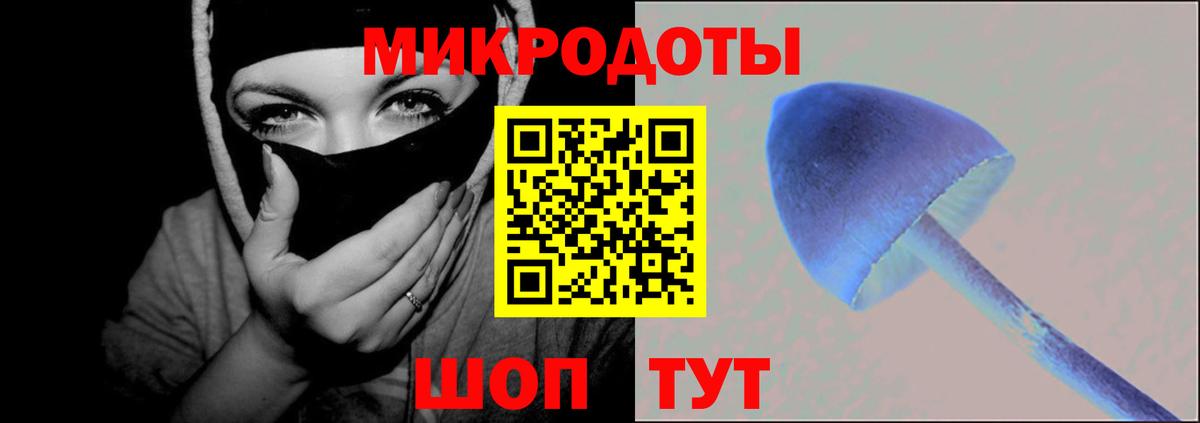 Всеволожск  Псилоцибиновые грибы Magic Shrooms  Вход с VPN  Галлюциногенные грибы Cubensis 